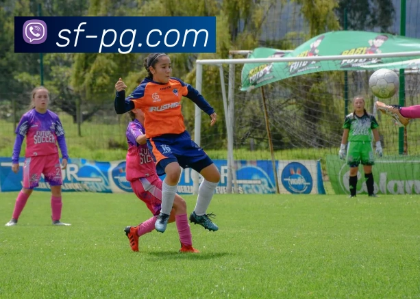 多媒体互动体验